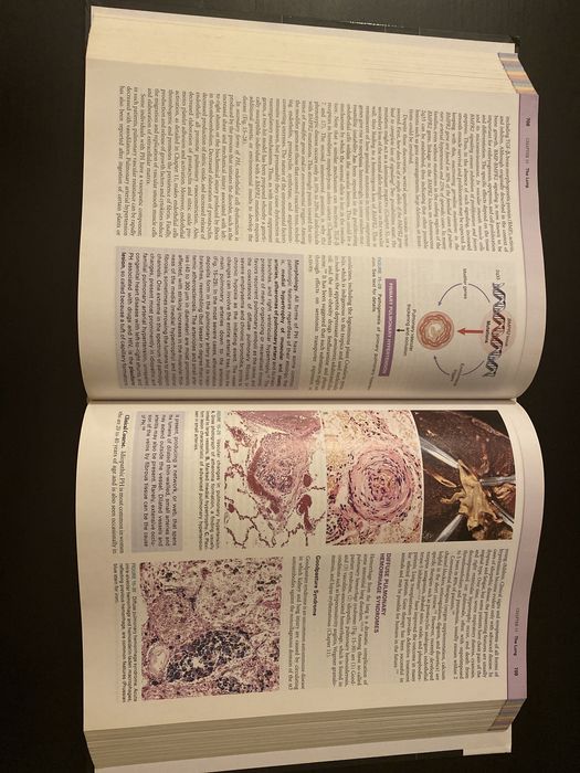 Livro - Pathologic Basis of Disease