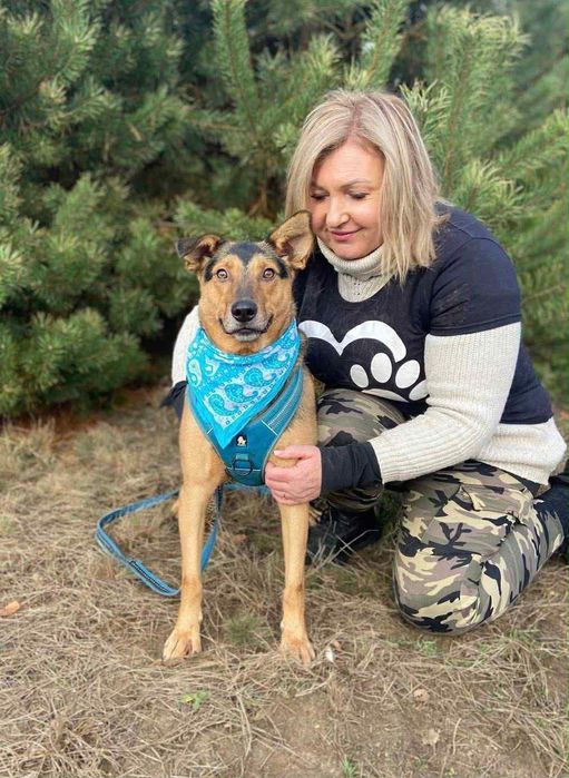 Pan Wisienka marzy o rodzinie.