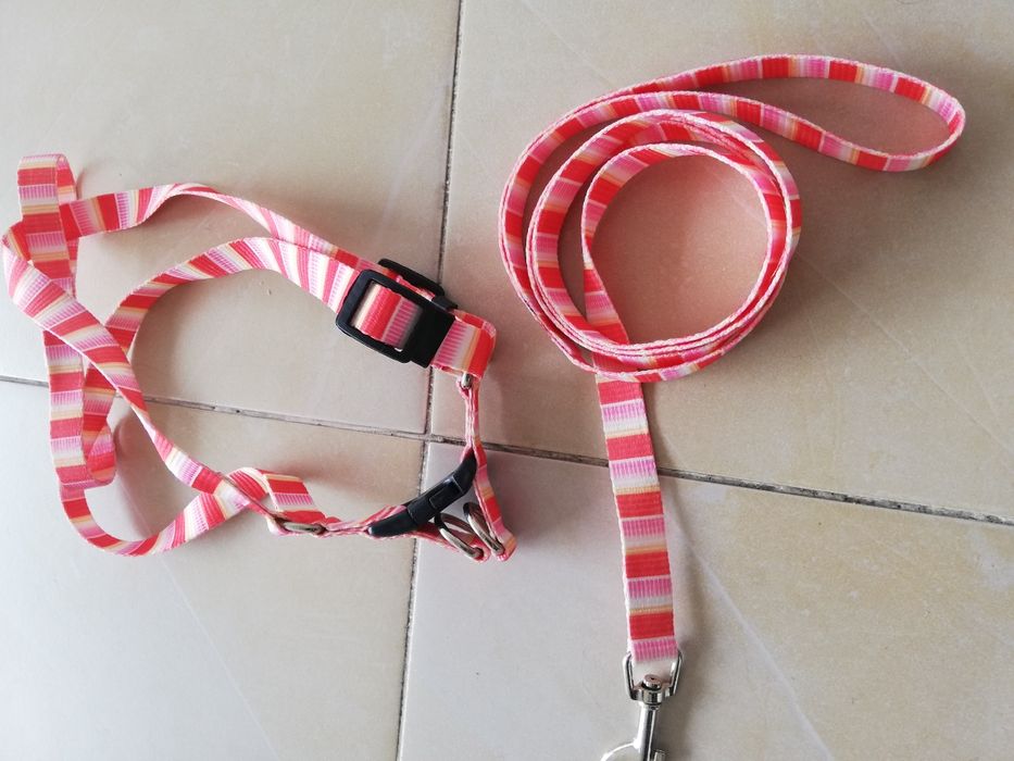 Conjunto de trela e coleira para animal