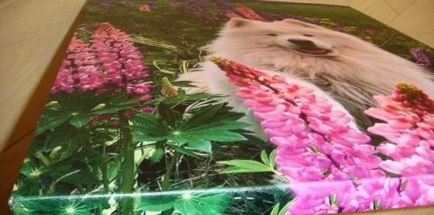 Картина из Фото на холсте от 160грн. КАРТИНА НА ЗАВТРА из Фотохолстов