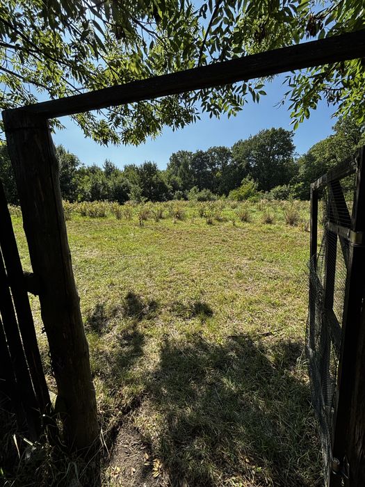 DZIAŁKA W BĘDKOWICACH/SOBÓTKA – u podnóża Ślęży, cisza, natura i świetna lokalizacja - Widok 2