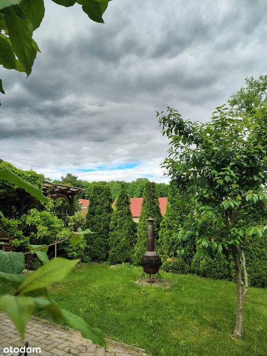 Dom do wejścia Dąbrowa Białostocka