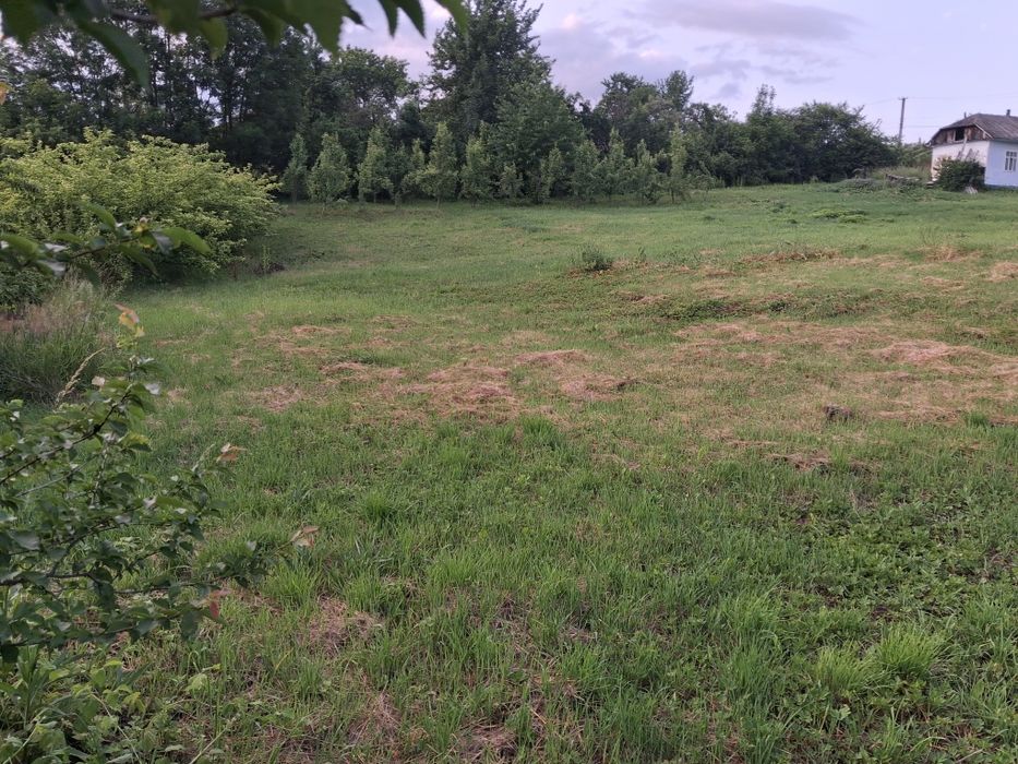 Земельна ділянка