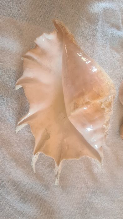 Decoração aquário