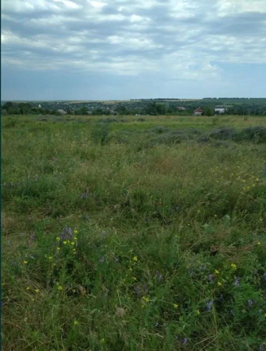 Продам дачный участок 12 соток в с.Сурско-Литовское