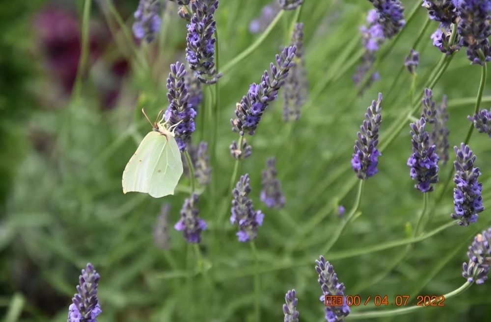 Sprzedam Nikon D 3400