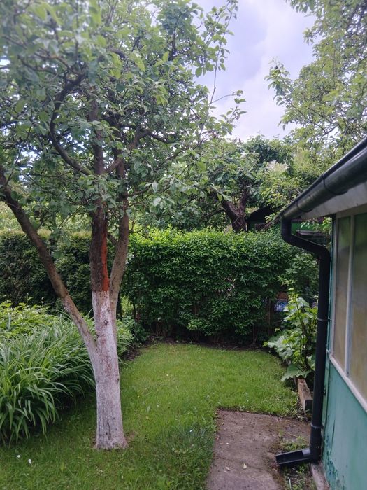 Działka rekreacyjna ROD REKREACJA KLUCZ 297 m² - Więcej