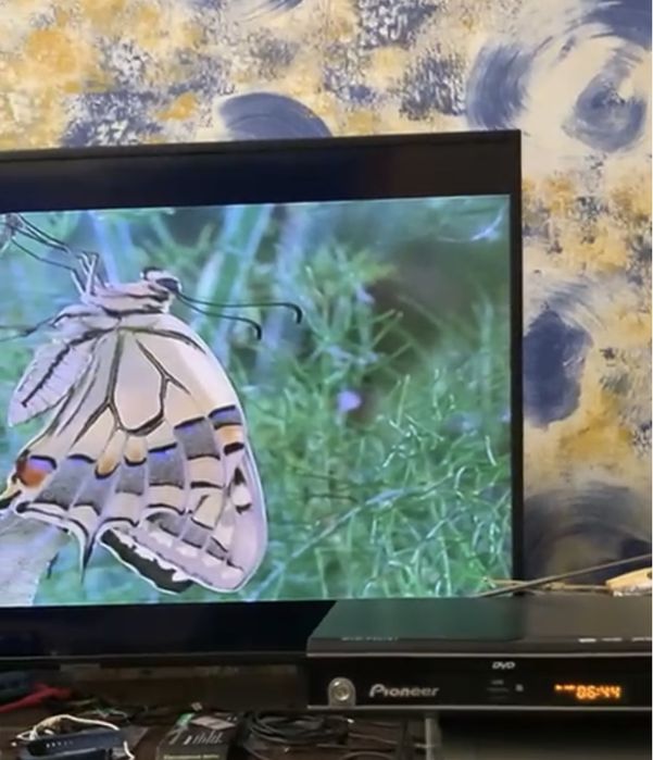 DVD плеер с FM радио