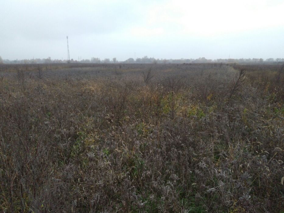 Продам участок под строительство с. Сеньковка