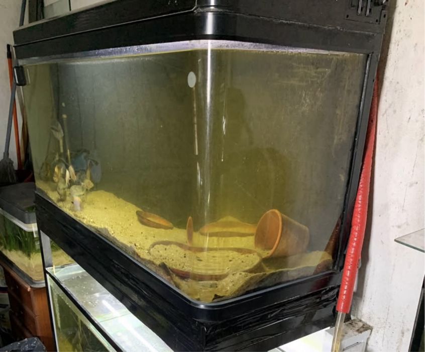 Aquario grande com luz e tampa