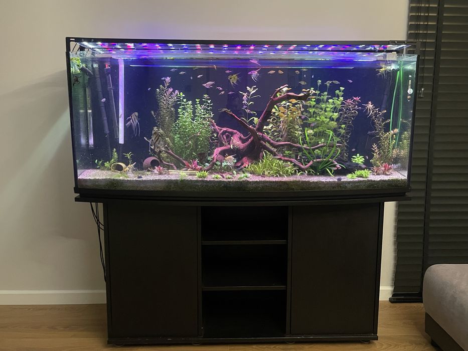 Akwarium panoramiczne 150x60x60 - 450 l z pełnym wyposażeniem i życie