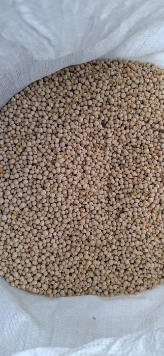 Продам горох на корм