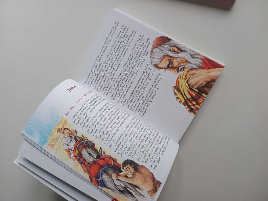 Biblia Historia Zbawienia w opowiadaniach Wyd. Jedność dla dzieci