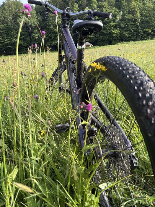 Cannondale carbon habit