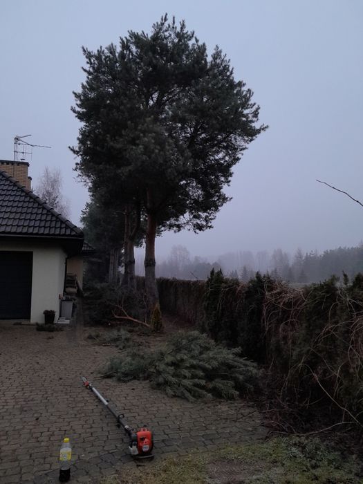 Podnośnik koszowy Odśnieżanie dachów zwyżka Wycinka drzew rębakowanie