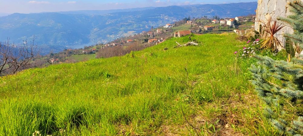Terreno Douro p/construção-COM projeto aprovado!