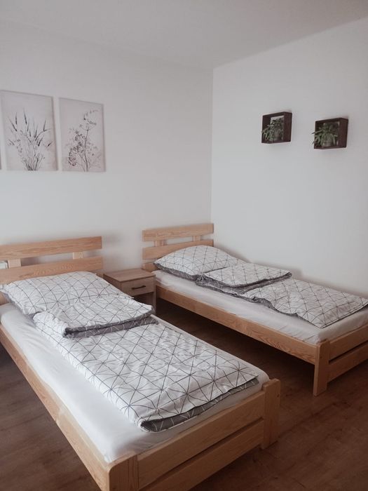 Wynajem pokoi Dębica 40zł