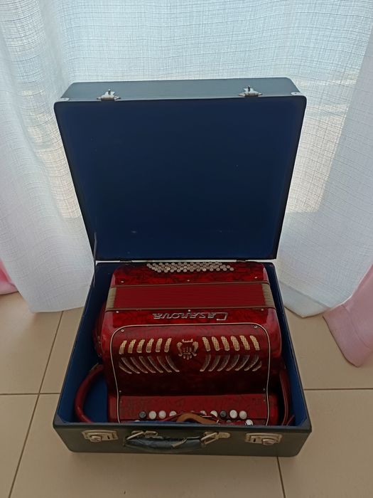 Acordeão - instrumento musical