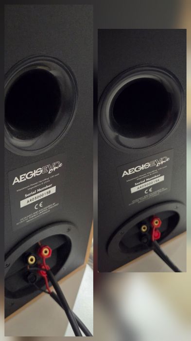 Kolumny podstawkowe AE Aegis evo one