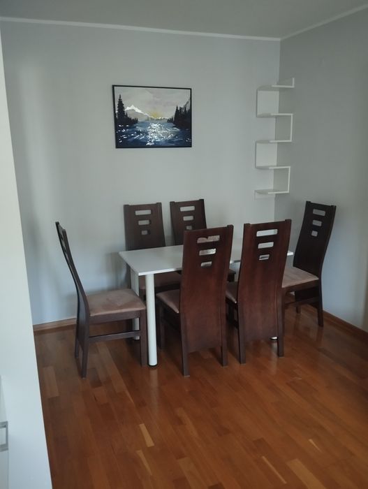 Przytulne mieszkanie do wynajęcia od zaraz