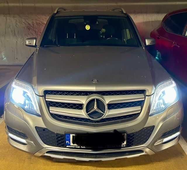 1 właściciel - GLK# salon Polska
