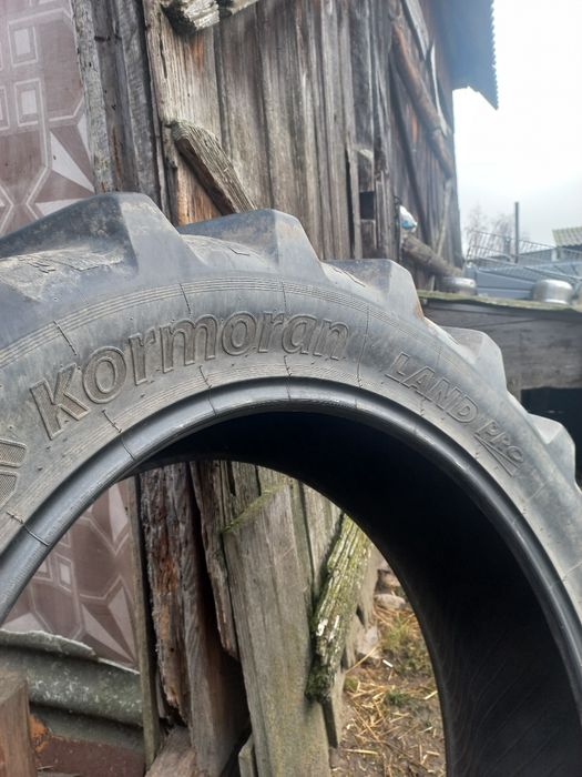 Opona kormoran 124-28