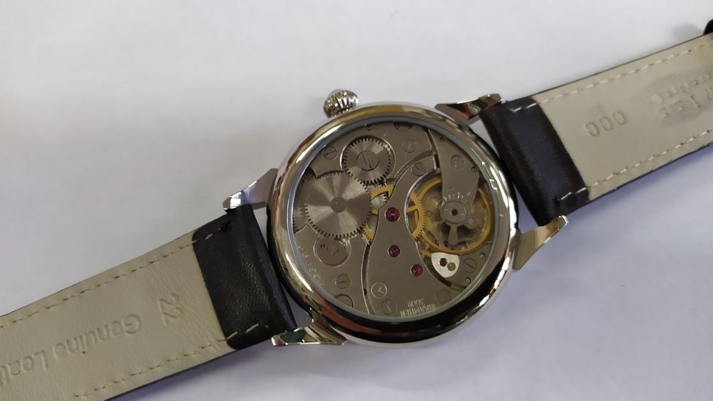 Mołnia pasówka pilot