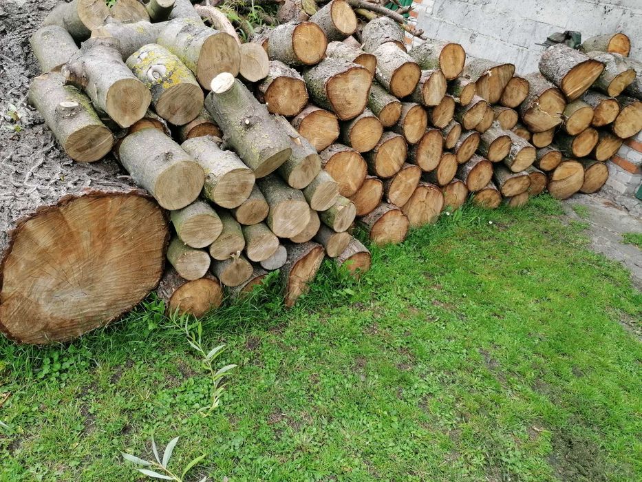 Drewno opałowe Sosna i wierzba