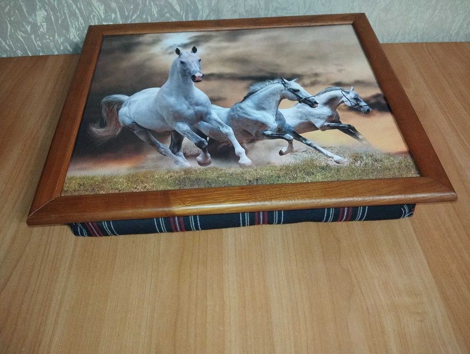 Таця подушка розмір 44 х 36,5 см.