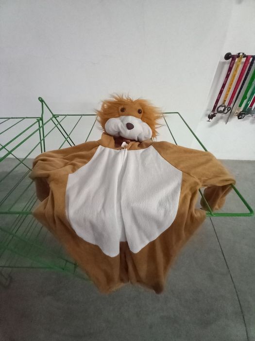 Fatos de Carnaval