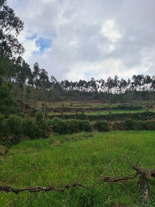 Quinta Agrícola a 5 minutos da A25