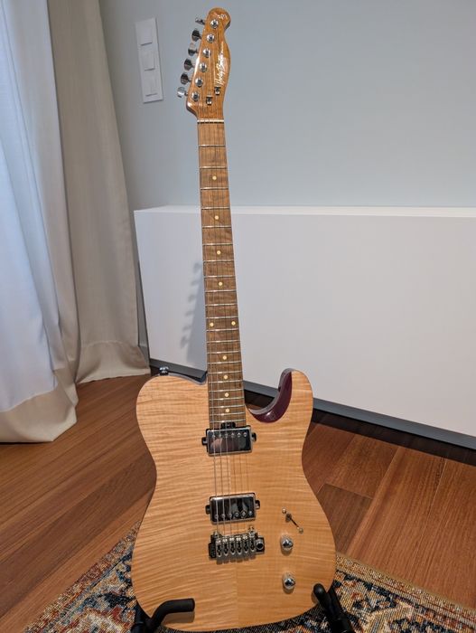 Harley Benton Fusion-T HH Roasted FNT (Como Nova)