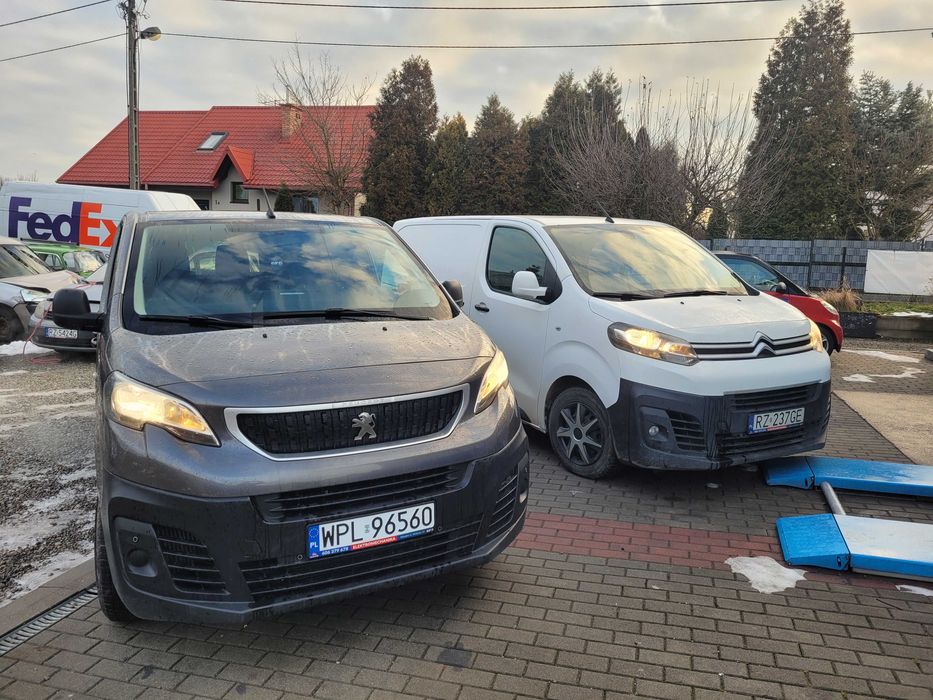 Wynajem  Busa 9 osób