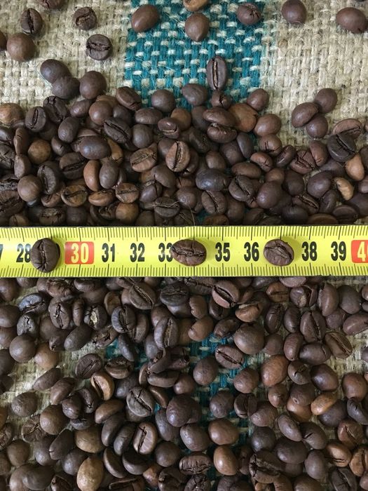 Кава / Кофе в зернах В'єтнам WP 18 scr.