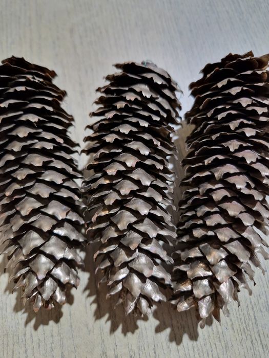 Szyszki naturalne lekko złocone