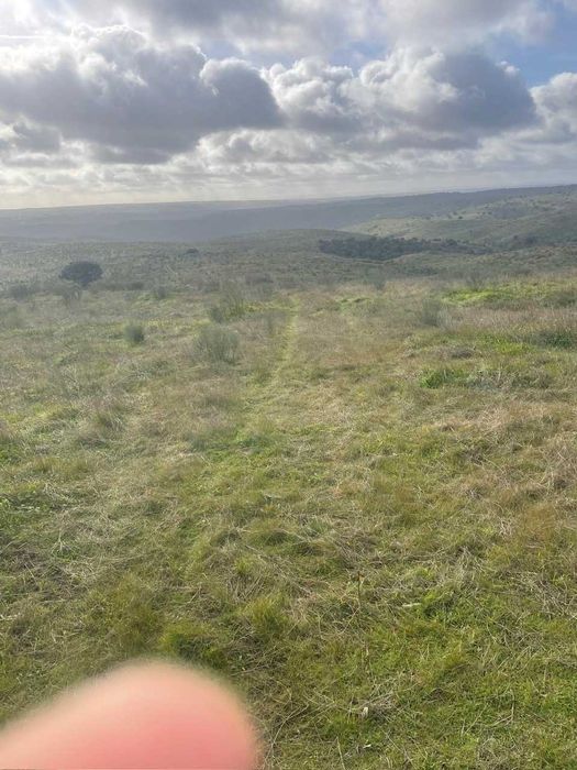 Herdade 30 hectares totalmente vedada