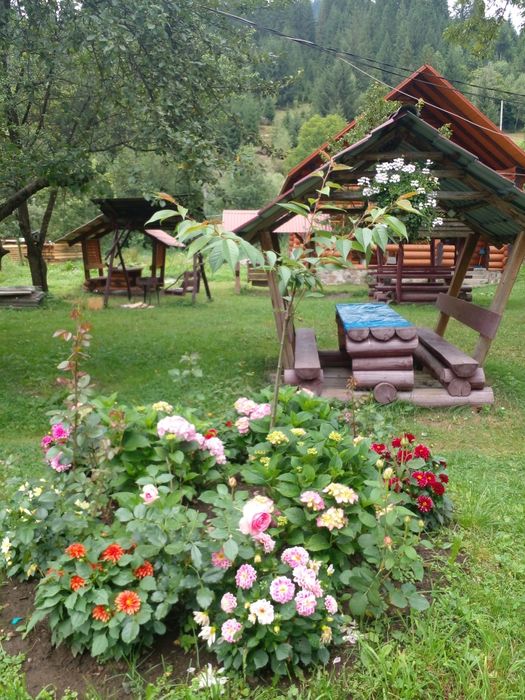 Здається котедж на три окремі номери