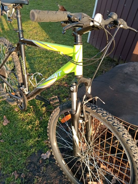 Rower Giant Shimano Acera