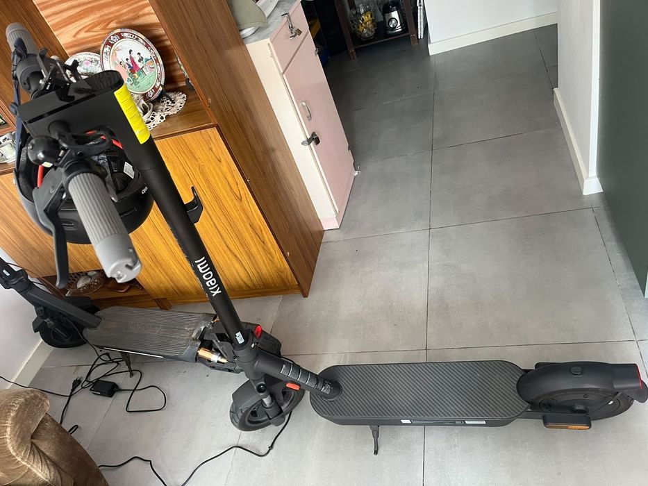 Vende trotenet seme nova