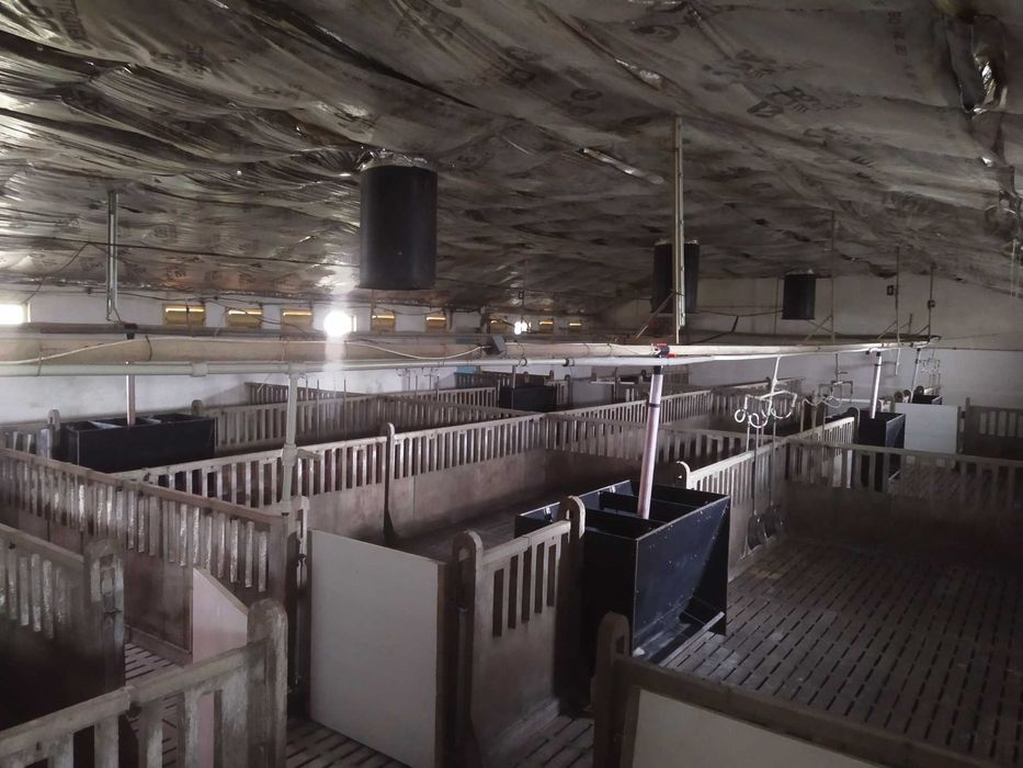 Продам готовий бізнес, оренда: Виробництво макухи, зерносушка, ферма