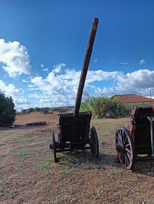 Lote de material agrícola - decoração de jardim