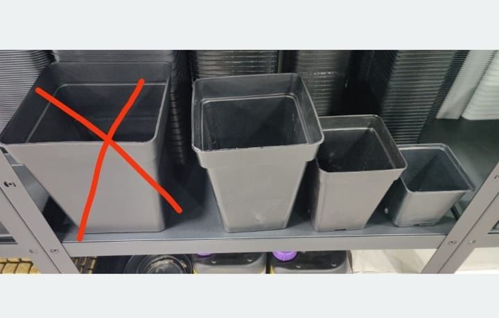 Vasos e Pratos Plástico 50% desconto  Pretos e brancos Vários tamanhos