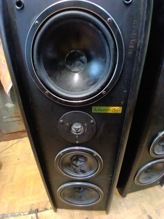 Wzmacniacz equalizer diora Tonsil scherza 200