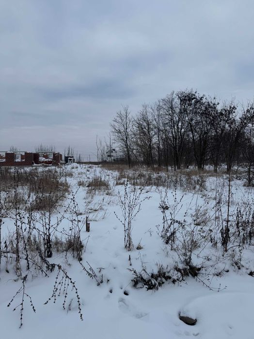 Ділянка від власника Шкуринці масив Поляна