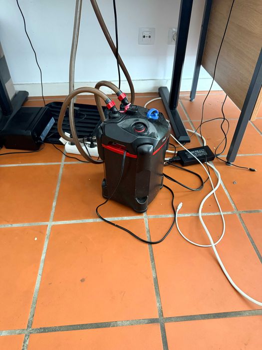 Large Tropical Aquarium Setup with External Filter – Ready to Go