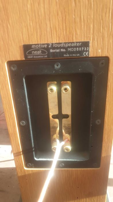 Kolumny głośnikowe neat acoustics Motive2 naturalny dąb