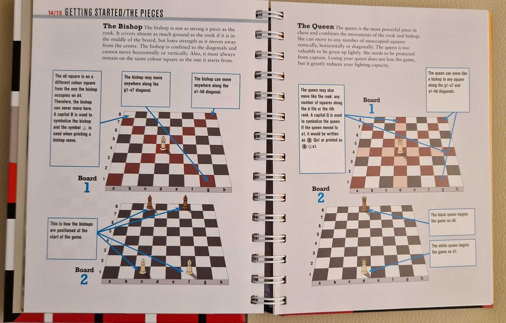 The Chess Player's bible