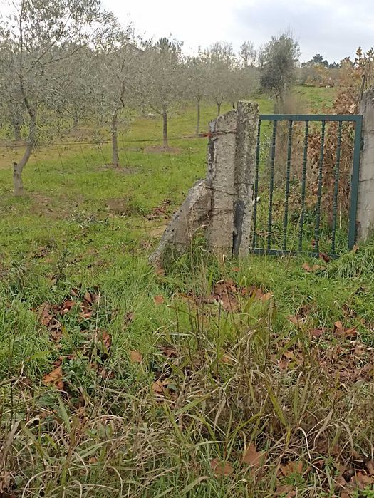 Terreno agrícola, casa, furo água, Alverca da Beira - Pinhel