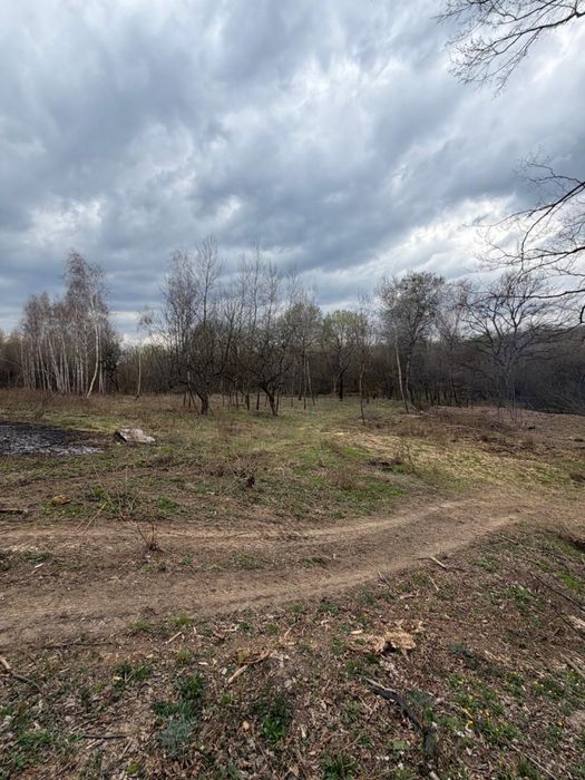 Продаж земельної ділянки Гута, Закарпатська область