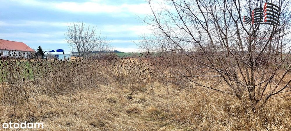 Działka usługowo-mieszkaniowa Opole Lub 30ar